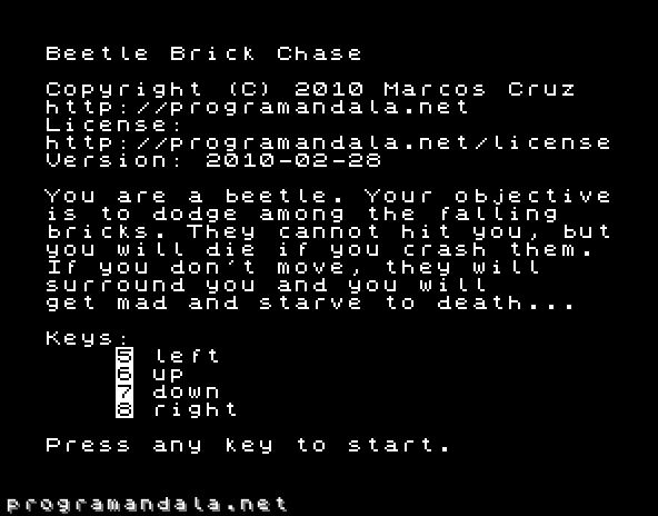 Beetle Brick Chase